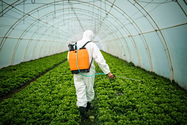 Best Emergency Pest Control  in Sonterra, TX