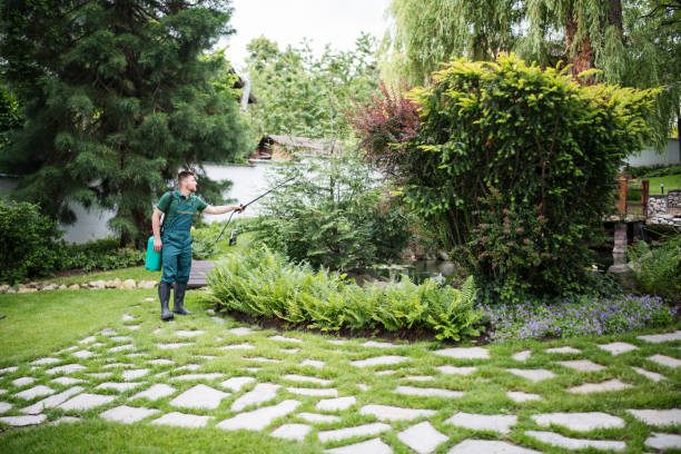 Best Pest Control Near Me  in Sonterra, TX