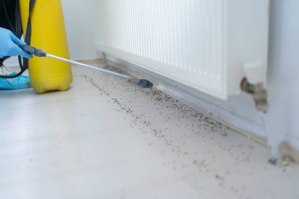 Best Cockroach Control Services  in Sonterra, TX