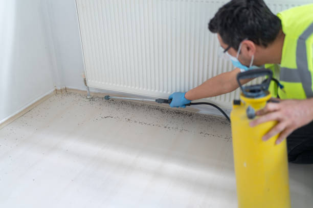 Best Bed Bug Extermination  in Sonterra, TX