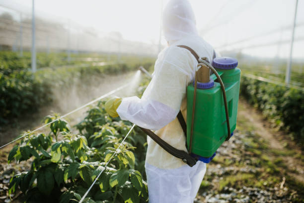 Trusted Sonterra, TX Pest Control Experts